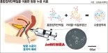 우리가 몰랐던 홍합 누공 치료부터 환경정화까지