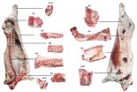 한우·돼지 한 마리에 고기 얼마나 생산되나