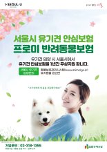 DB손해보험, 서울시와 손잡고 유기견 입양 시 1년간 보험 지원