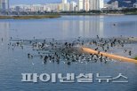 울산 국제철새도시에 인증.. 생태적 가치 우수성 공인