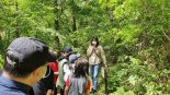 ”환경성질환 아동 1120명 숲에서 면역력강화한다“