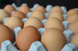 달걀 18개 훔친 '코로나 장발장' 2심서 징역 3월로 감형