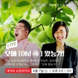 광양시, 라이브커머스 '오매 왔능가'로 명품 광양매실 선보인다