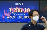 또 사상 최고… 시큰둥한 개미들 “내 주식은 왜 파란색”