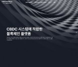 네이버 라인, CBDC ‘라인 파이낸셜 블록체인’ 전격공개