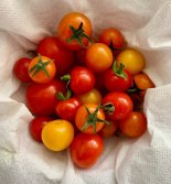 계절을 품고 있는 제철 식재료의 효능-토마토 편