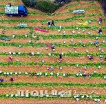 제주도 “가짜농부 솎아낸다” 농지 내 농막·성토 관리 강화