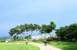 이상기후 사각지대, 시흥갯골생태공원