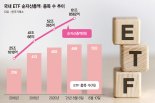 ETF 500종목 시대 개막… 19년만에 순자산 180배 늘었다