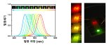 이성남 산기대 교수 연구팀, 마이크로 LED 디스플레이용 모노리식 다파장 광원 기술 개발