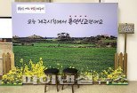 "오늘 우리 제주시청에서 혼인신고 했어요"