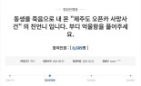 "'안전벨트 안했네?'" 묻고 엑셀 밟아 쾅..19초 후 동생 숨져" 애끓는 언니의 청원