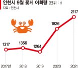 인천 꽃게 10년만에 최대 풍어… 작년대비 52%↑