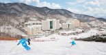 비발디파크, 2021~2022 스키시즌 상품 출시