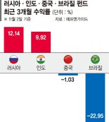 브릭스펀드 ‘엇갈린 운명’… 러·인도 ‘웃고’ 브라질 ‘울고’