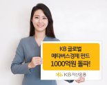 KB글로벌메타버스경제 펀드, 순자산 1000억원 돌파