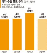 점점 크는 과자시장 4조 육박… 글로벌 실적도 가세