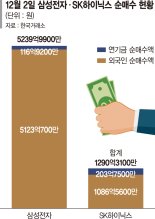 ‘외국인의 힘’ 삼성전자·SK하이닉스 이틀 연속 날았다