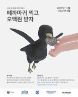 수원·화성·안산 '떼까마귀 촬영하고 500원 받자' 이벤트