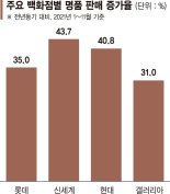 올해도 뜨거웠던 명품 사랑… 백화점·온라인 매출 대폭 성장