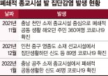 어디서 터질 지 모른다… '집단감염 뇌관' 폐쇄적 종교시설