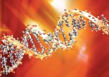 손상된 DNA 복구하는 원리를 밝혀냈다