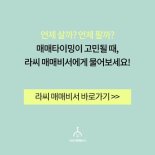 2월 11일 오후장 급등주 PICK5 - 태양금속, 미래생명자원, 컴투스홀딩스...