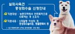'두려운 실외사육견' 정부, 중성화수술·동물등록비 최대 40만원 지원