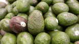 탈모 예방에 도움 되는 의외의 과일, 아보카도