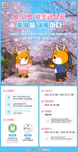 인천 서구, 봄 사랑 벚킷리스트 캠페인 진행