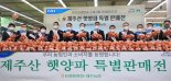 양파농가 돕기 나선 농식품부…"수급 안정 최우선"