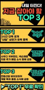 내일의 급등 유망주 TOP3 공개