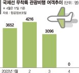 "진짜 해외여행 간다" 국제선 운항 확대에… 이달 무착륙 관광비행 0건