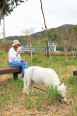  자연과 말과 함께하는 치유..마사회 '홀스테라피' 운영 호응  
