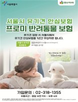 서울시, 유기동물 입양시 교육·동물보험 지원