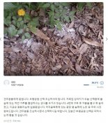 낚싯바늘 소시지 이어 이번엔 하얀가루..공원서 강아지 구토 후 쓰러져