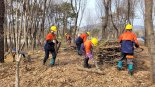 충남도, '미이용 산림바이오매스수집단 사업' 시행