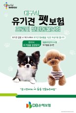 DB손해보험, 대구시와 유기견 펫보험 지원사업 시행