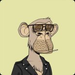 [fn스트리트] '지루한 원숭이들의 요트클럽'