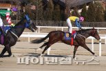 [경마] 코리안더비 15일개최…한국경마 100년기념