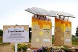한화 ‘태양광 벌집’으로 꿀벌 지킨다
