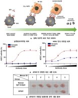 에이프로젠, 유방암치료제 비임상 효능 입증 완료 “치료제 게임체인저 될 것”