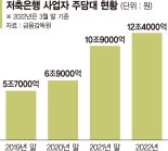 가짜 서류로 불법 주담대… 금감원 “엄중 대응”