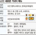 간편 스낵부터 비건식까지... 기내식 경쟁 불붙은 LCC