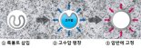 코오롱글로벌, '튜브형 강관 록볼트' 녹색기술인증