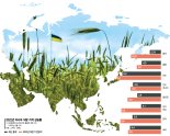 쌀로 곡물대란 버텨낸 아시아…'혹독한 겨울' 다가온다 [글로벌 리포트]