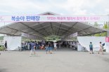 '3년만의' 조치원복숭아축제, 29일 열린다