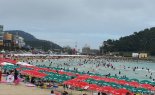 부산 여름바다 3년만에 활짝 열렸다..'부산바다축제' 팡파르
