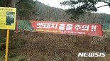 중계동 은행에 멧돼지 출몰…50분만에 사살