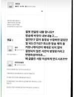 '동네 지킴이' 반려견 순찰대..대형견에 입마개 지급 논란